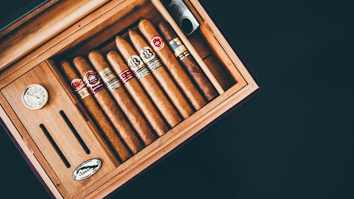 Cigars in humidor