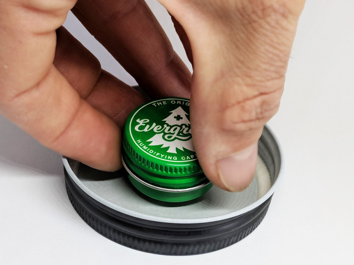 Evergreen humidification pod placed in lid