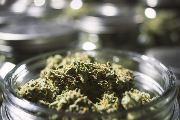 Cannabis Loses Freshness