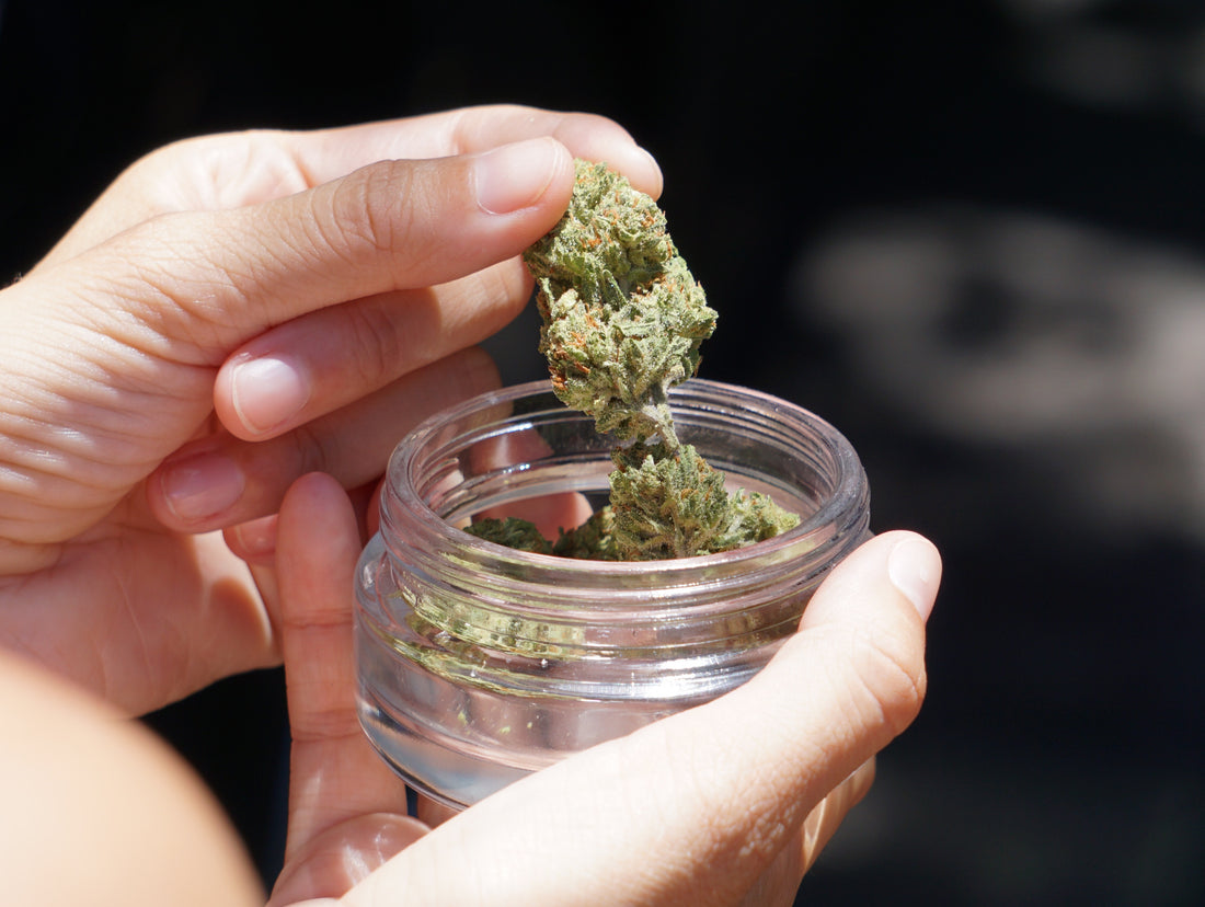Cannabis buds being taken out of jar - Photo by Elsa Olofsson from Pexels