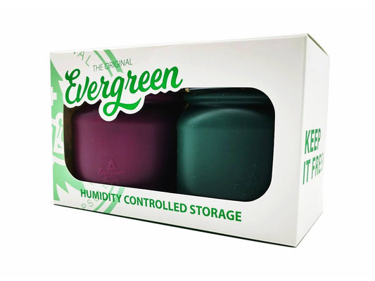 Evergreen Storage Solution 2-Pack Gift Box in dark green and purple